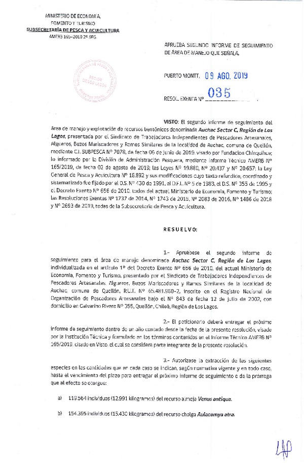 Res. Ex. N° 35-2019 (DZP Región de Los Lagos) 2° Seguimiento.