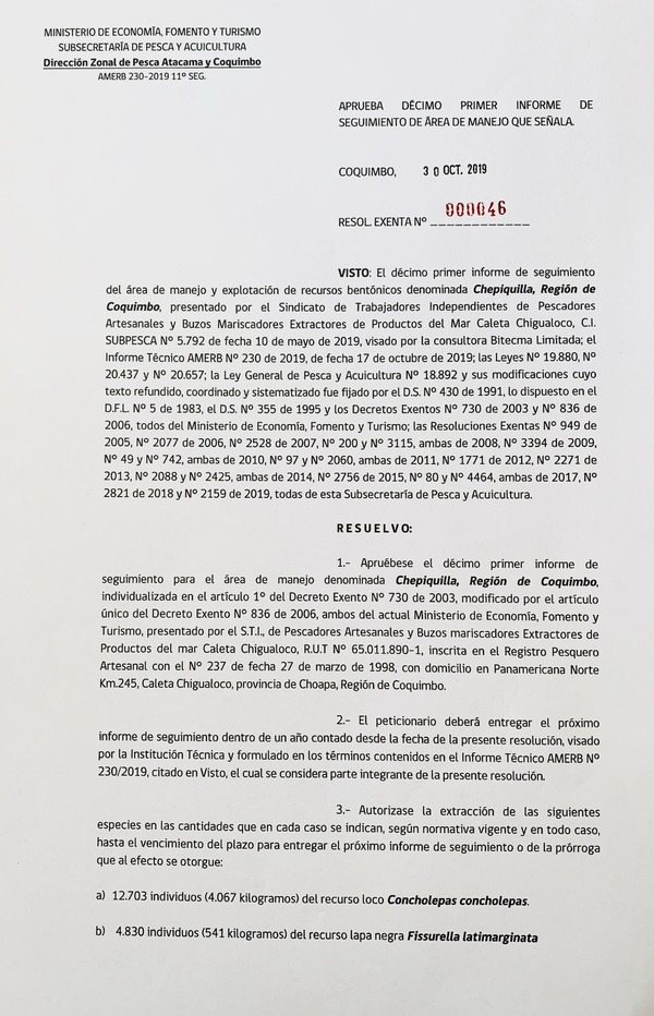 Res. Ex. N° 46-2019 (DZP Atacama y Coquimbo) 11° Seguimiento.