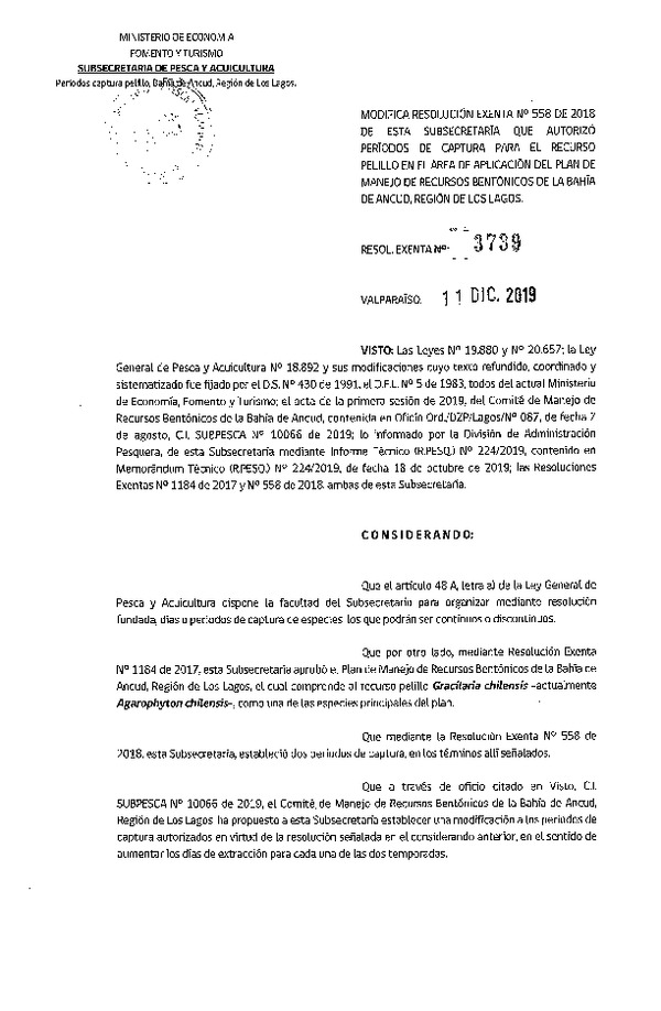 Res. Ex. N° 3739-2019 Modifica 	Res. Ex. N° 558-2018 Autoriza períodos de captura para el recurso Pelillo en el área de aplicación del Plan de manejo de Recursos Bentónicos de la Bahía de Ancud, X región de Los Lagos. (Publicado en Página Web 12-12-2019) (F.D.O. 19-12-2019)