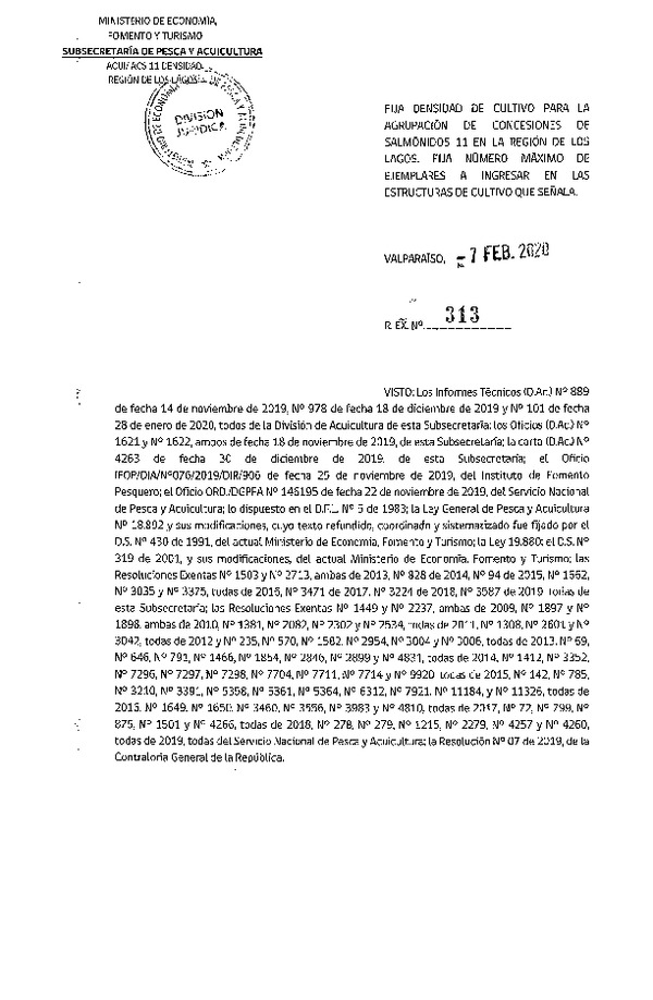 Res. Ex. N° 313-2020, Fija densidad de Cultivo para la Agrupación de concesiones de Salmónidos 11, en la Región de Los Lagos. Fija Número máximo de ejemplares a ingresar en las estructuras de cultivo que señala. (Con Informe Técnico) (Publicado en Página Web 11-02-2020) (F.D.O. 25-02-2020).