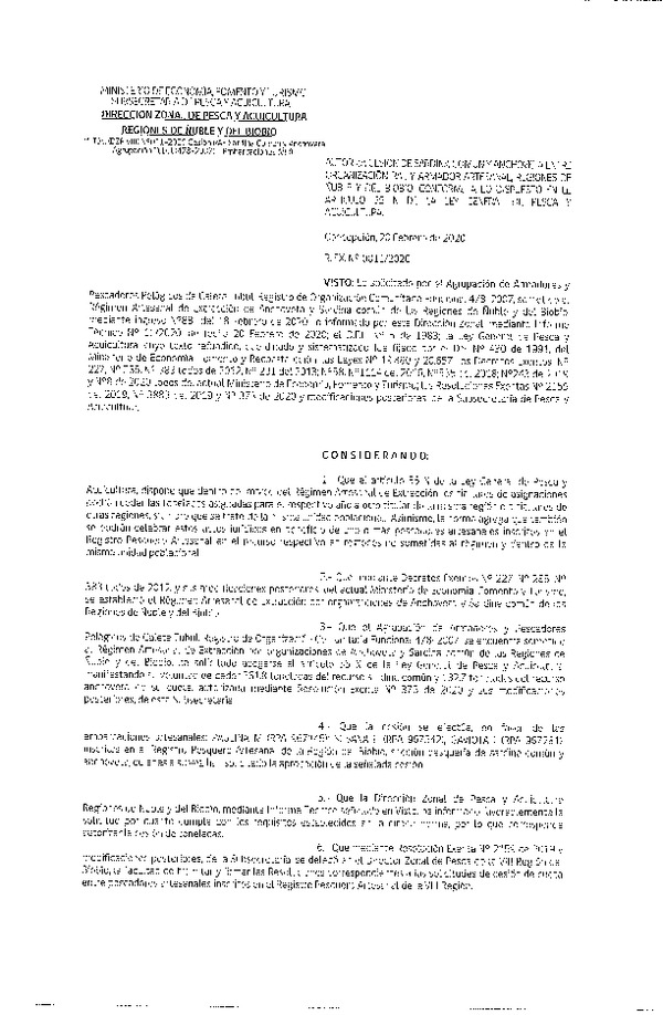 Res Ex N° 0011-2020, (DZP VIII), Autoriza cesión de Sardina Común y Anchoveta entre organización RAE y armador artesanal, Regiones de Núble y del BioBio, conforme a lo dispuesto en el artículo 55 N de la ley general de Pesca y Acuicultura (Publicado en Página Web 21-02-2020).