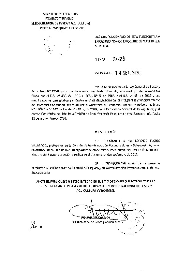 Res. Ex. N° 2025-2019 Designa Funcionario de Esta Subsecretaría en Calidad Ad-Hoc, en Comité de Manejo de Merluza del sur. (Publicado en Página Web 16-09-2019)