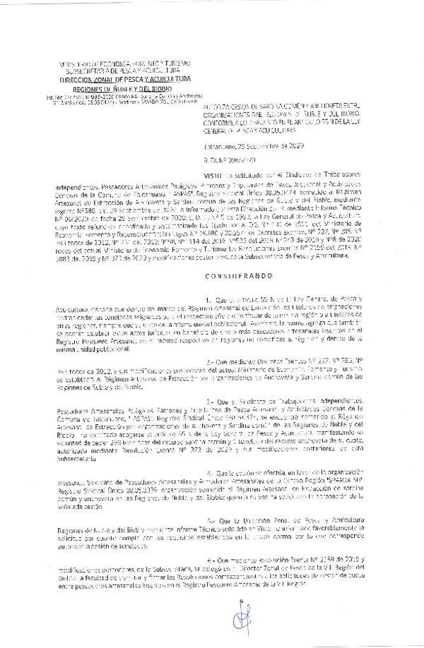 Res Ex N° 096-2020, (DZP Biobío-Ñuble), Autoriza cesión Sardina Común y Anchoveta Región de Ñuble-Biobío (Publicado en Página Web 30-09-2020)