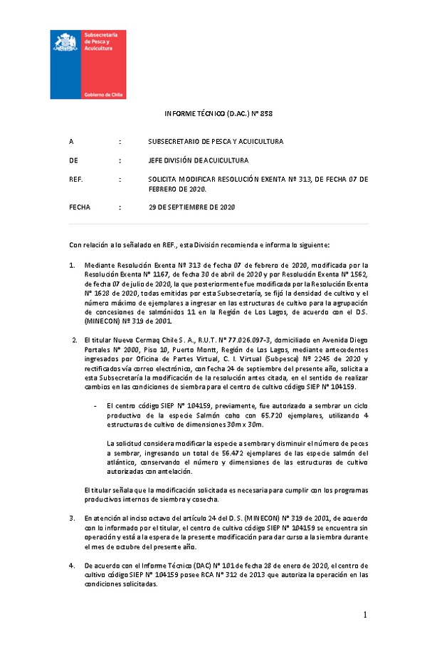 INFORME TÉCNICO (D.AC.) N° 858-2020 SOLICITA MODIFICAR RESOLUCIÓN EXENTA Nº 313, DE FECHA 07 DE FEBRERO DE 2020.