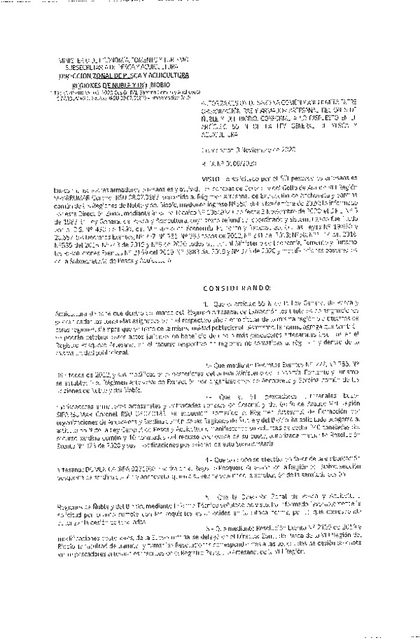 Res. Ex. N° 0106-2020 (DZP Ñuble y del Biobío) Autoriza cesión Sardina Común y Anchoveta Región de Ñuble-Biobío (Publicado en Página Web 04-11-2020)