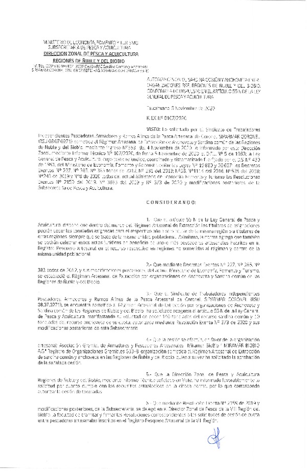 Res. Ex. N° 0107-2020 (DZP Ñuble y del Biobío) Autoriza cesión Sardina Común y Anchoveta Región de Ñuble-Biobío (Publicado en Página Web 05-11-2020)