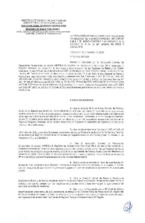 Res. Ex. N° 0109-2020 (DZP Ñuble y del Biobío) Autoriza cesión Sardina Común y Anchoveta Región de Ñuble-Biobío (Publicado en Página Web 12-11-2020)
