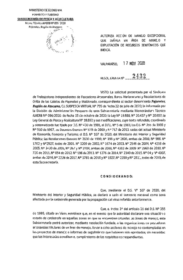 Res. Ex. N° 2432-2020 Autoriza acción de manejo excepcional que señala. (Publicado en Página Web 19-11-2020)