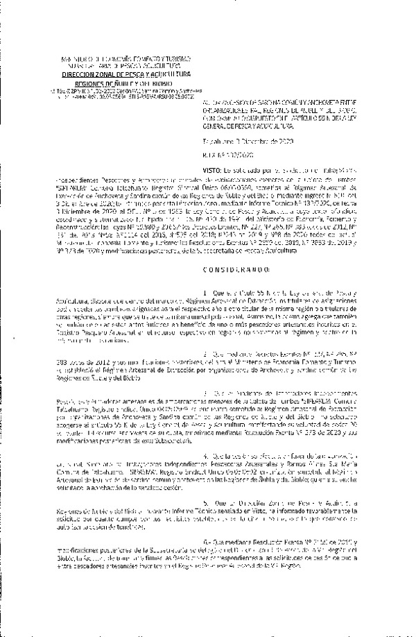 Res. Ex. N° 132-2020 (DZP Ñuble y del Biobío) Autoriza cesión Sardina Común y Anchoveta Región de Ñuble-Biobío (Publicado en Página Web 07-12-2020)