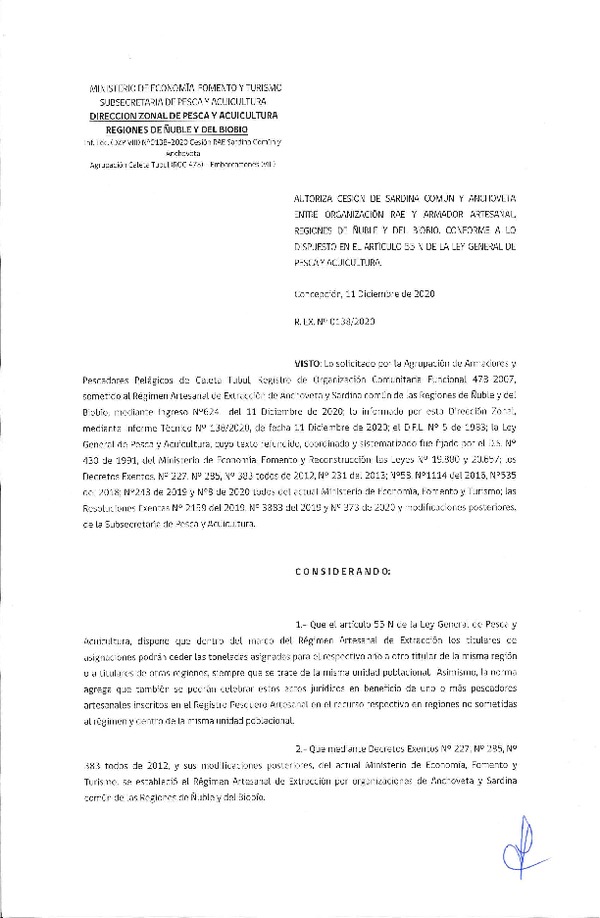 Res. Ex. N° 138-2020 (DZP Ñuble y del Biobío) Autoriza cesión Sardina Común y Anchoveta Región de Ñuble-Biobío (Publicado en Página Web 11-12-2020)