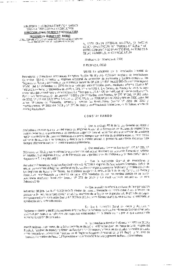 Res. Ex. N° 141-2020 (DZP Ñuble y del Biobío) Autoriza cesión Sardina Común y Anchoveta Región de Ñuble-Biobío (Publicado en Página Web 17-12-2020)