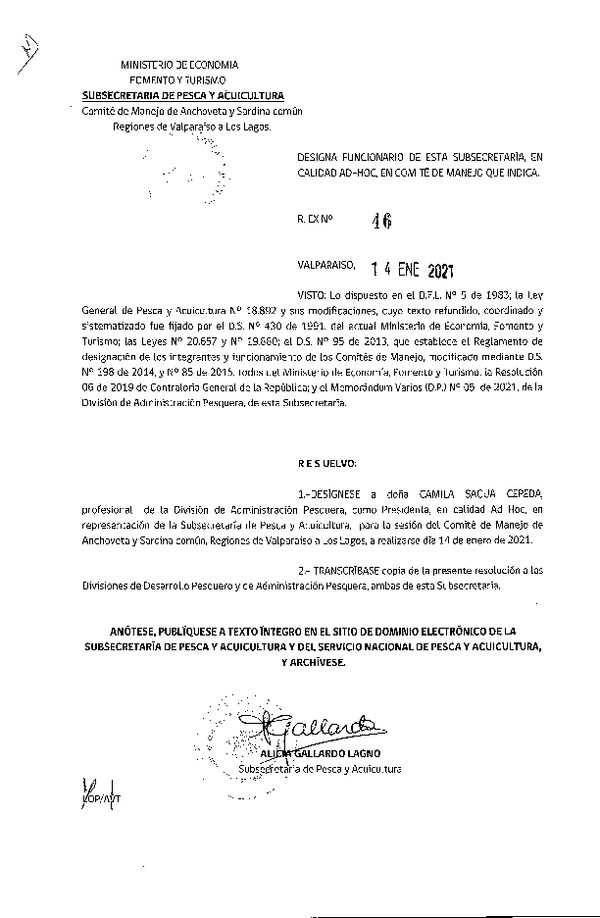 Res. Ex. N° 46-2021 Designa Funcionario de esta Subsecretaría, en Calidad Ad-Hoc, en Comité de Manejo de Anchoveta y Sardina común. (Publicado en Página Web 14-01-2021)