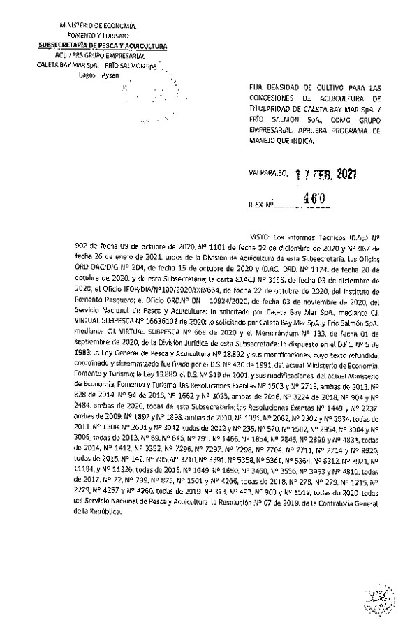 Res. Ex N° 460-2021 Fija densidad de cultivo para las concesiones de acuicultura de titularidad de Salmones Caleta Bay Mar SpA. y Frío Salmón SpA, como grupo empresarial. (Con Informe Técnico) (Publicado en Página Web 18-02-2021).