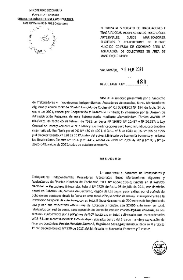Res. Ex. N° 480-2021 Instalación de colectores. (Publicado en Página Web 23-02-2021)