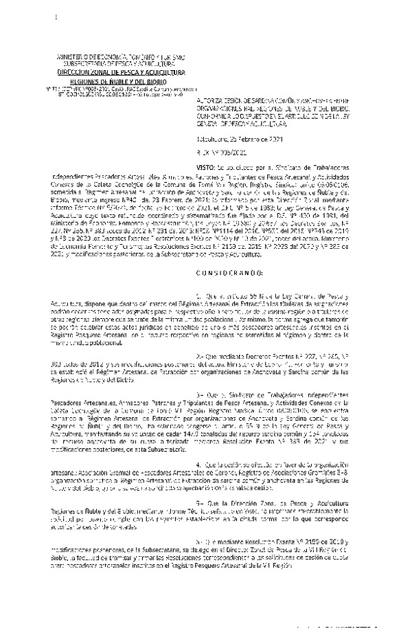 Res. Ex. N° 005-2021 (DZP Ñuble y del Biobío) Autoriza cesión Sardina Común y Anchoveta Región de Ñuble-Biobío (Publicado en Página Web 25-02-2021)