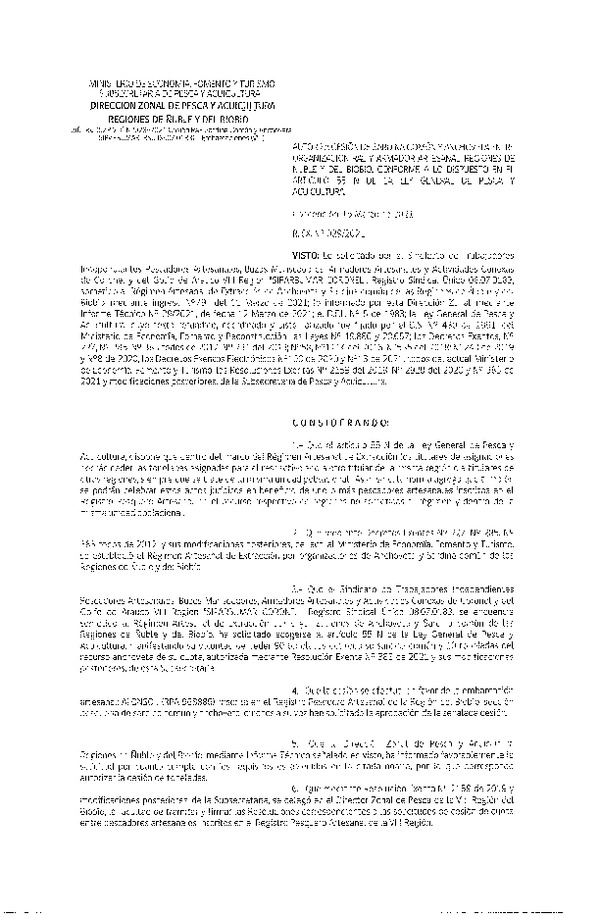 Res. Ex. N° 029-2021 (DZP Ñuble y del Biobío) Autoriza cesión Sardina Común y Anchoveta Región de Ñuble-Biobío (Publicado en Página Web 16-03-2021)