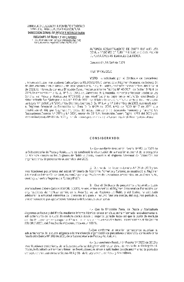 Res. Ex. N° 045-2021 (DZP Ñuble-Biobío) Autoriza Adelantamiento de Cuota  RAE Merluza Común, Regiones de Ñuble y Biobío. (Publicado en Página Web 15-04-2021)