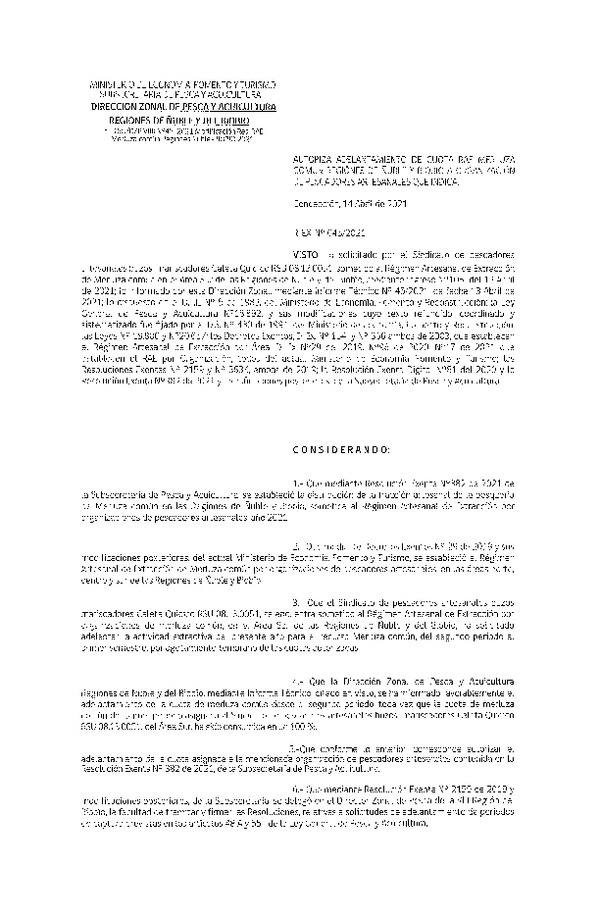 Res. Ex. N° 045-2021 (DZP Ñuble-Biobío) Autoriza Adelantamiento de Cuota  RAE Merluza Común, Regiones de Ñuble y Biobío. (Publicado en Página Web 15-04-2021)