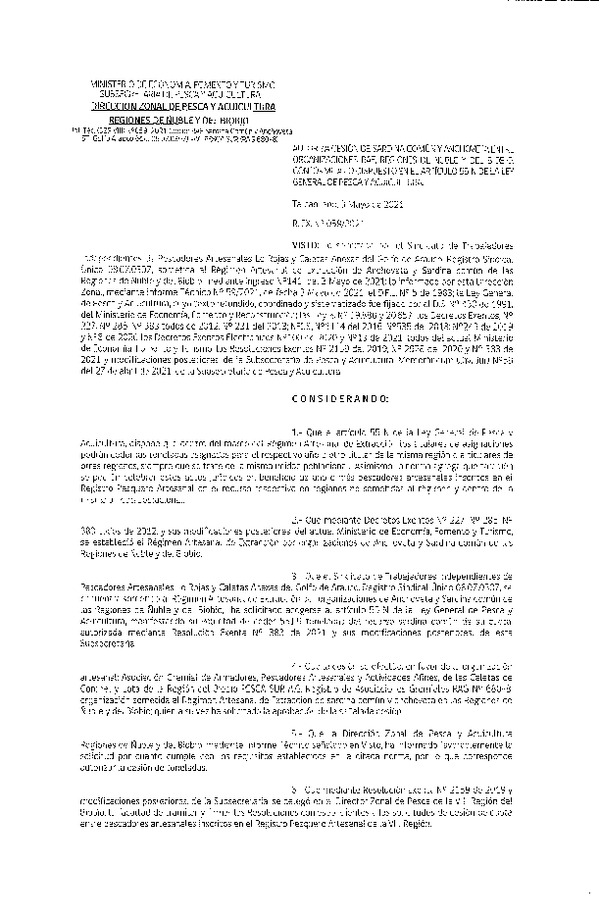 Res. Ex. N° 059-2021 (DZP Ñuble y del Biobío) Autoriza cesión Sardina Común y Anchoveta Región de Ñuble-Biobío (Publicado en Página Web 03-05-2021)