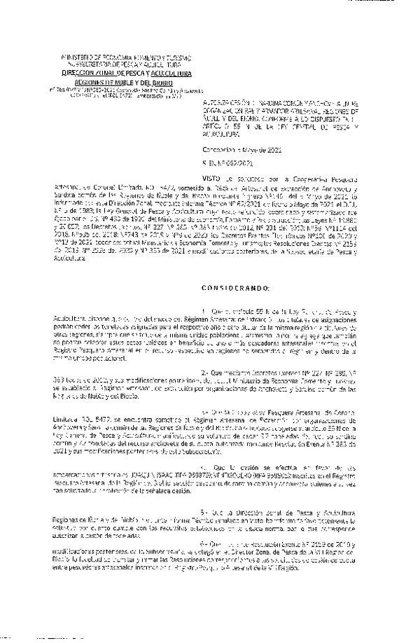 Res. Ex. N° 062-2021 (DZP Ñuble y del Biobío) Autoriza cesión Sardina Común y Anchoveta Región de Ñuble-Biobío (Publicado en Página Web 05-05-2021)