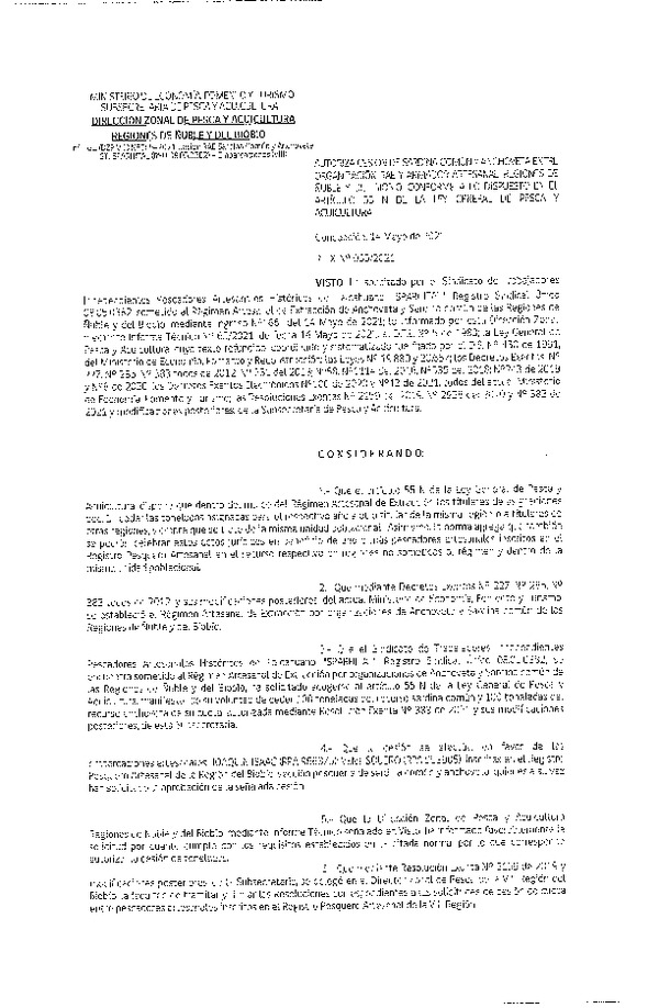 Res. Ex. N° 065-2021 (DZP Ñuble y del Biobío) Autoriza cesión Merluza Común. (Publicado en Página Web 14-05-2021)