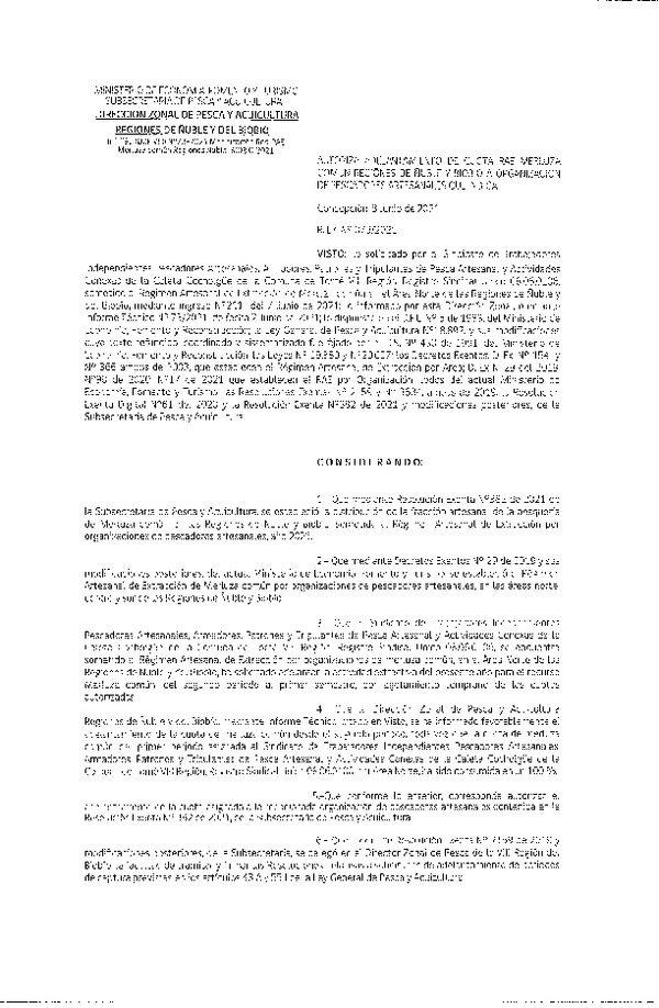 Res. Ex. N° 073-2021 (DZP Ñuble-Biobío) Autoriza Adelantamiento de Cuota RAE Merluza Común, Regiones Ñuble-Biobío, a Organización de Pescadores Artesanales que Indica. (Publicado en Página Web 08-06-2021)