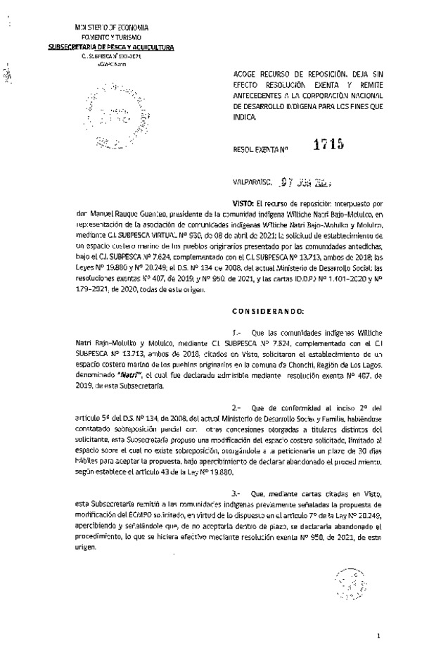 Res. Ex. N° 1715-2021 Acoge recurso de reposición, deja sin efecto resolución Exenta que señala. (Publicado en Página Web 09-06-2021)