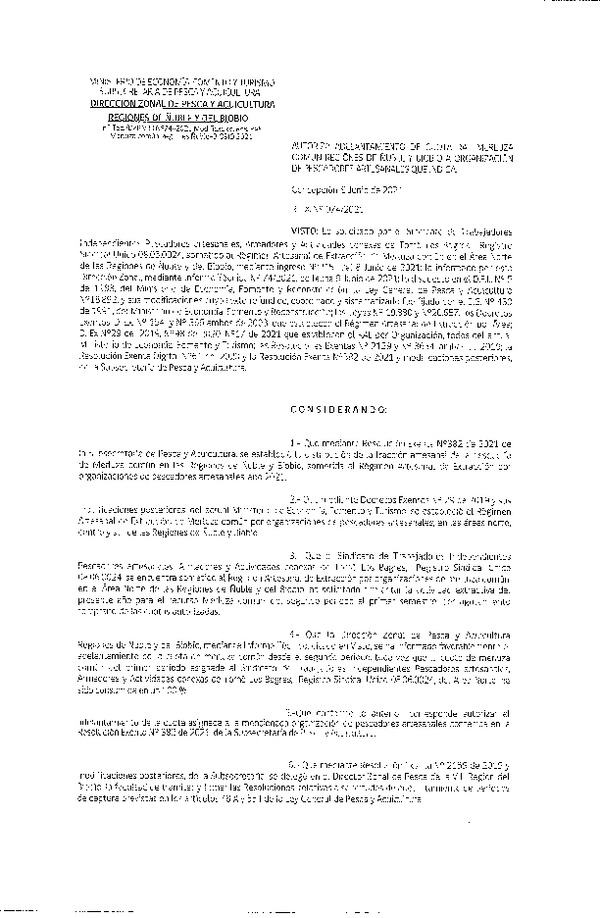 Res. Ex. N° 074-2021 (DZP Ñuble-Biobío) Autoriza Adelantamiento de Cuota RAE Merluza Común, Regiones de Ñuble y Biobío. (Publicado en Página Web 09-06-2021)