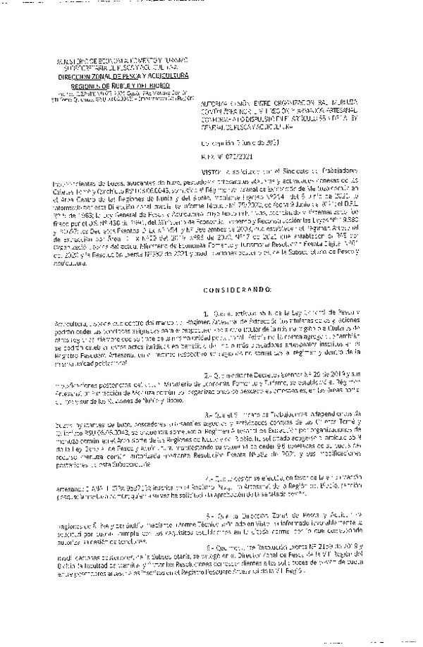 Res. Ex. N° 075-2021 (DZP Ñuble y del Biobío) Autoriza cesión Merluza Común. (Publicado en Página Web 09-06-2021)