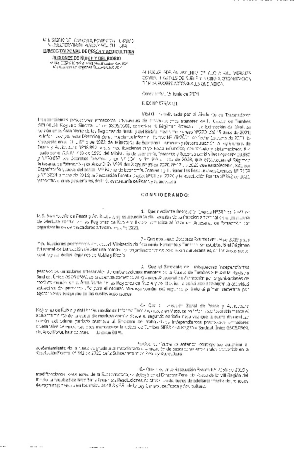 Res. Ex. N° 078-2021 (DZP Ñuble-Biobío) Autoriza Adelantamiento de Cuota RAE Merluza Común, Regiones de Ñuble y Biobío. (Publicado en Página Web 15-06-2021)