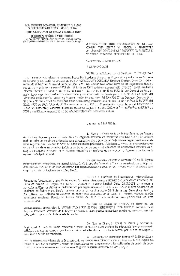 Res. Ex. N° 080-2021 (DZP Ñuble y del Biobío) Autoriza cesión Merluza Común. (Publicado en Página Web 18-06-2021)