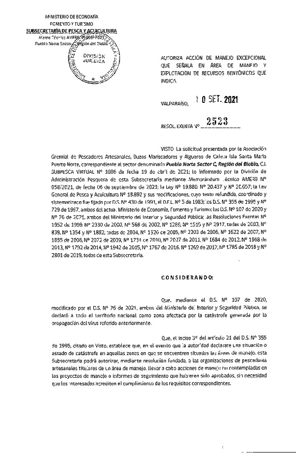 Res. Ex. N° 2523-2021 Autoriza acción de manejo excepcional que señala. (Publicado en Página Web 13-09-2021)