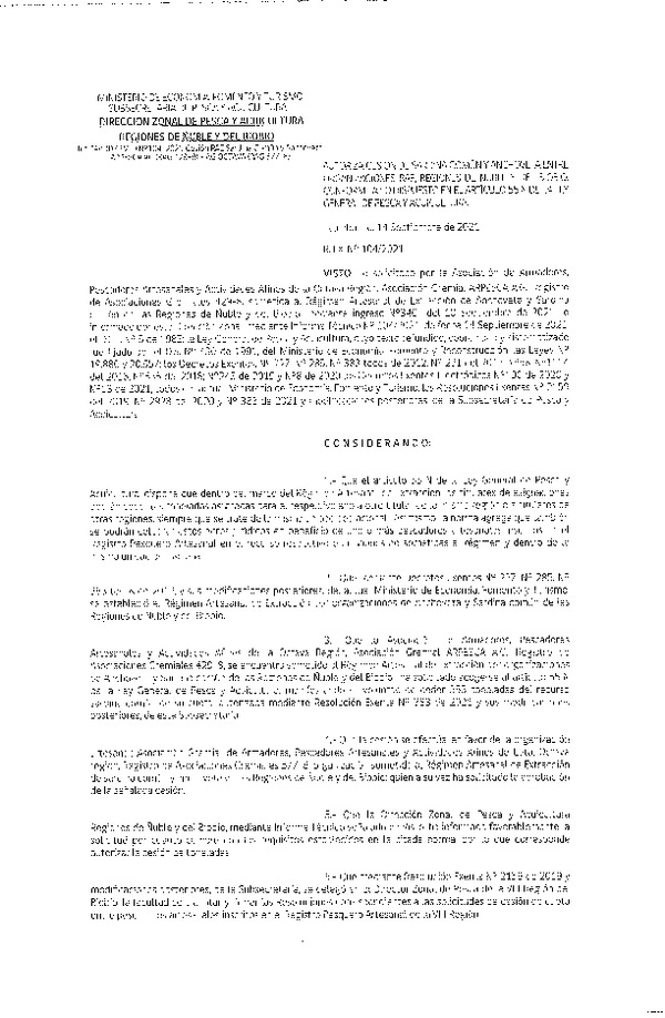 Res. Ex. N° 104-2021 (DZP Ñuble y del Biobío) Autoriza cesión Sardina Común y Anchoveta Región de Ñuble-Biobío (Publicado en Página Web 14-09-2021)