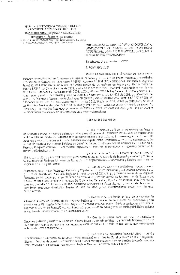 Res. Ex. N° 105-2021 (DZP Ñuble y del Biobío) Autoriza cesión Sardina Común y Anchoveta Región de Ñuble-Biobío (Publicado en Página Web 14-09-2021)