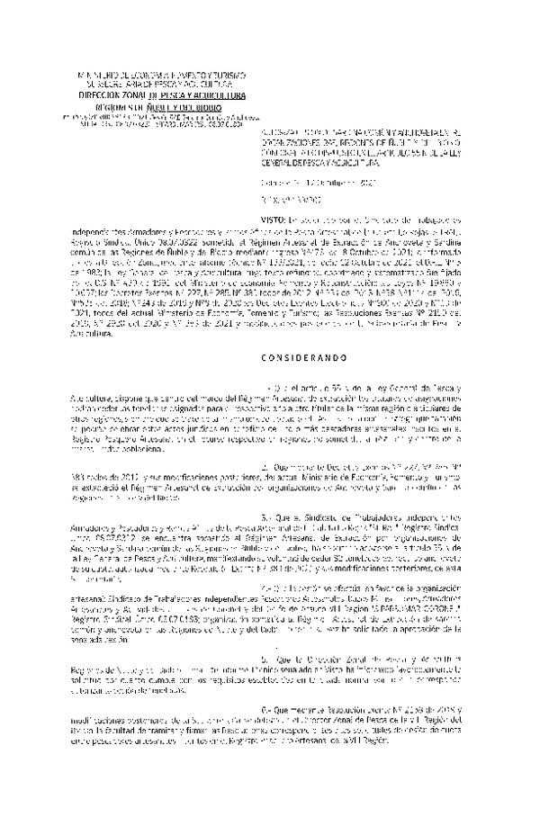 Res. Ex. N° 133-2021 (DZP Ñuble y del Biobío) Autoriza cesión Sardina Común y Anchoveta Región de Ñuble-Biobío (Publicado en Página Web 15-10-2021)