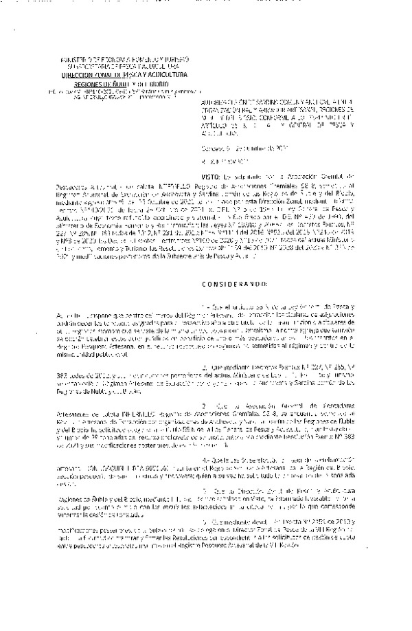 Res. Ex. N° 140-2021 (DZP Ñuble y del Biobío) Autoriza cesión Sardina Común y Anchoveta Región de Ñuble-Biobío (Publicado en Página Web 28-10-2021)