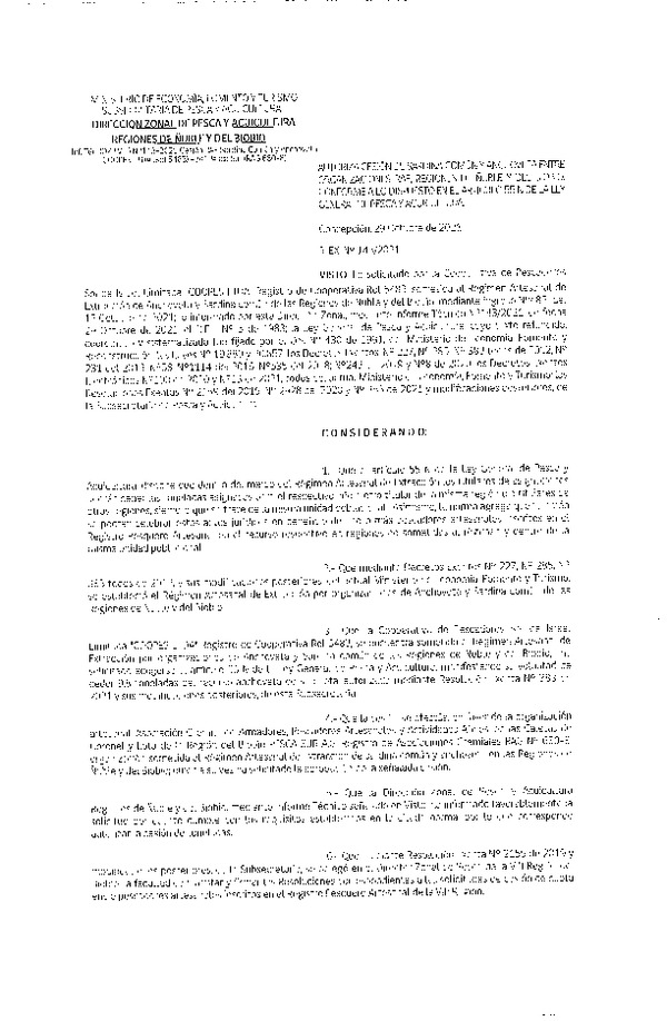 Res. Ex. N° 143-2021 (DZP Ñuble y del Biobío) Autoriza cesión Sardina Común y Anchoveta Región de Ñuble-Biobío (Publicado en Página Web 03-11-2021)