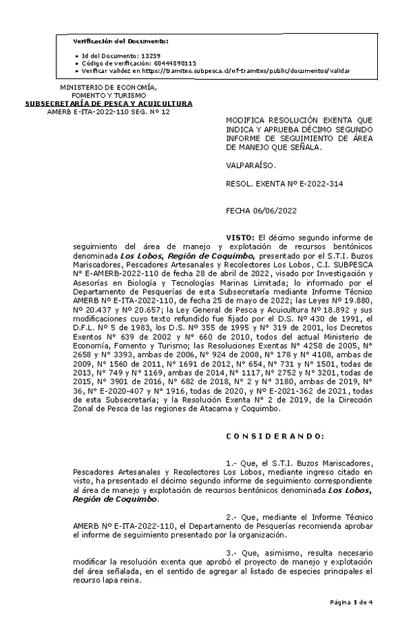 RESOL. EXENTA Nº E-2022-314 Modifica resolución que indica, Aprueba 12° Seguimiento. (Publicado en Página Web 08-06-2022)