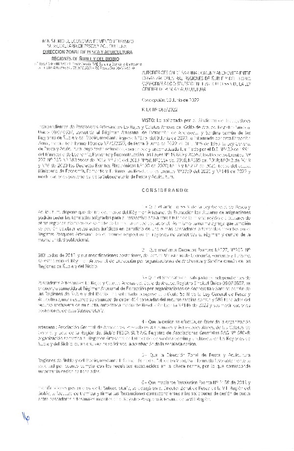 Res. Ex. N° 065-2022 (DZP Ñuble y del Biobío) Autoriza cesión Sardina común y Anchoveta. (Publicado en Página Web 10-06-2022)