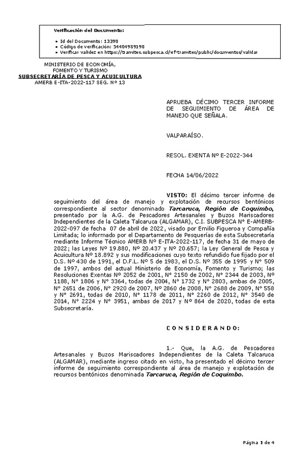 RESOL. EXENTA Nº E-2022-344 Aprueba 13° Seguimiento. (Publicado en Página Web 15-06-2022)