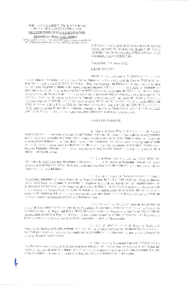 Res. Ex. N° 069-2022 (DZP Ñuble y del Biobío) Autoriza cesión Sardina común y Anchoveta. (Publicado en Página Web 17-06-2022)