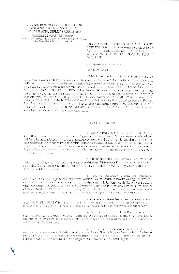 Res. Ex. N° 074-2022 (DZP Ñuble y del Biobío) Autoriza cesión Sardina común y Anchoveta. (Publicado en Página Web 23-06-2022)