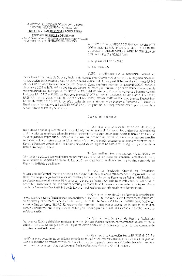 Res. Ex. N° 095-2022 (DZP Ñuble y del Biobío) Autoriza cesión Sardina común y Anchoveta. (Publicado en Página Web 29-07-2022)