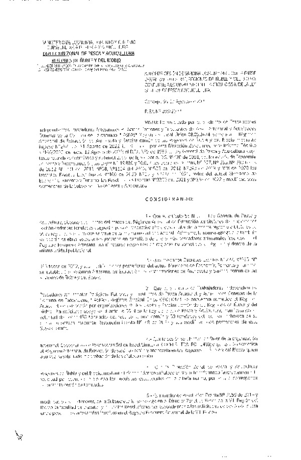 Res. Ex. N° 099-2022 (DZP Ñuble y del Biobío) Autoriza cesión Sardina común y Anchoveta. (Publicado en Página Web 18-08-2022)