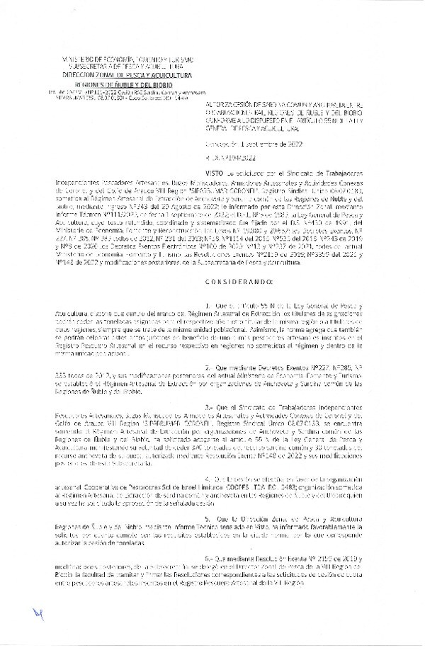 Res. Ex. N° 104-2022 (DZP Ñuble y del Biobío) Autoriza cesión Sardina común y Anchoveta. (Publicado en Página Web 02-09-2022)