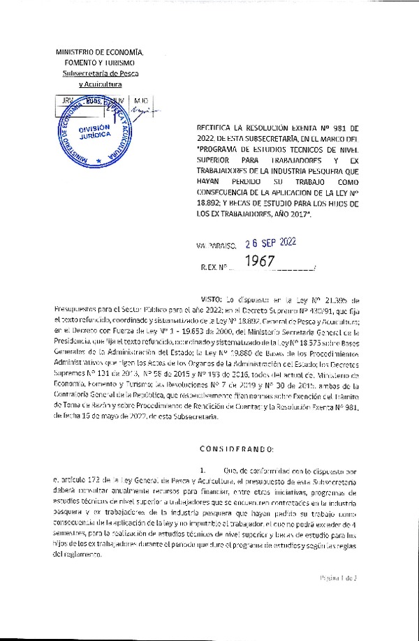 Res. Ex. N° 1967-2022 rectifica Res. Ex. N° 981-2022 en el marco del programa que indica. (Publicado en Página Web 27-09-2022)