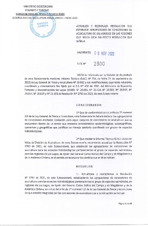 es. Ex. N° 2300-2022 Actualiza y Reemplaza Resolución que Establece Agrupaciones de Concesiones de Acuicultura de Salmónidos en Regiones que Indica. (Publicado en Página Web 11-11-2022) (F.D.O. 16-11-2022)