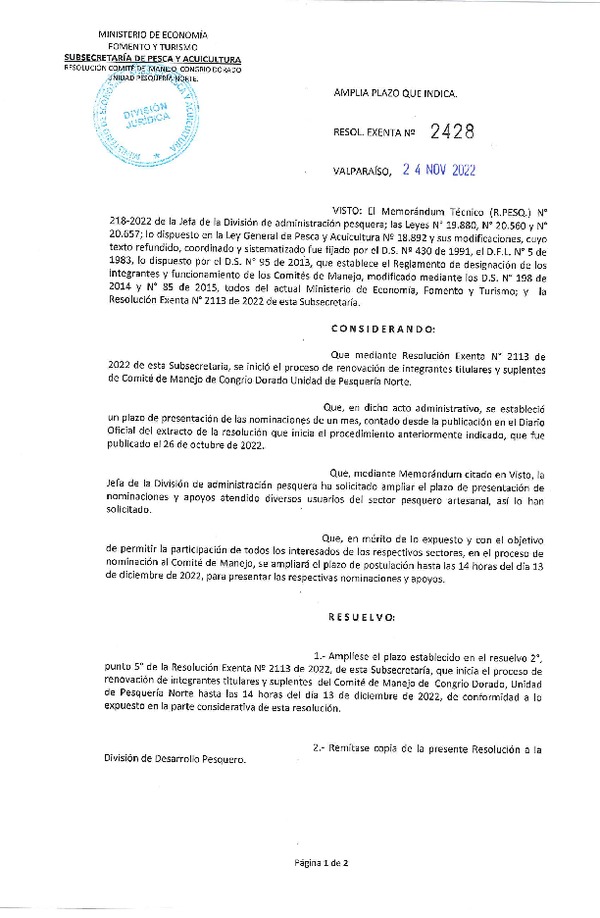 Res. Ex. N° 2428-2022 Amplía Plazo que Indica en Res. Ex. N° 2113-2022. (Publicado en Página Web 24-11-2022)