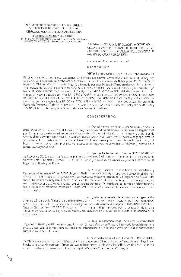 Res. Ex. N° 126-2022 (DZP Ñuble y del Biobío) Autoriza cesión Sardina común y Anchoveta. (Publicado en Página Web 21-12-2022)