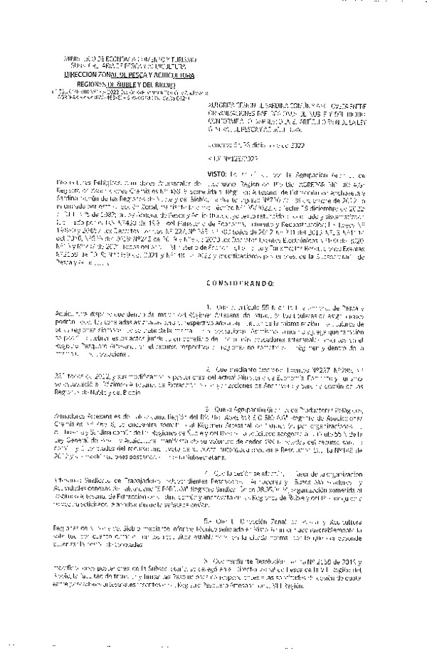 Res. Ex. N° 128-2022 (DZP Ñuble y del Biobío) Autoriza cesión Sardina común y Anchoveta. (Publicado en Página Web 30-12-2022)